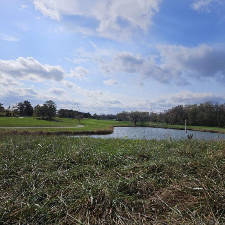 Buffer Park 9-hole Golf Course Indianapolis, IN view for the ground overlooking a water hazard.